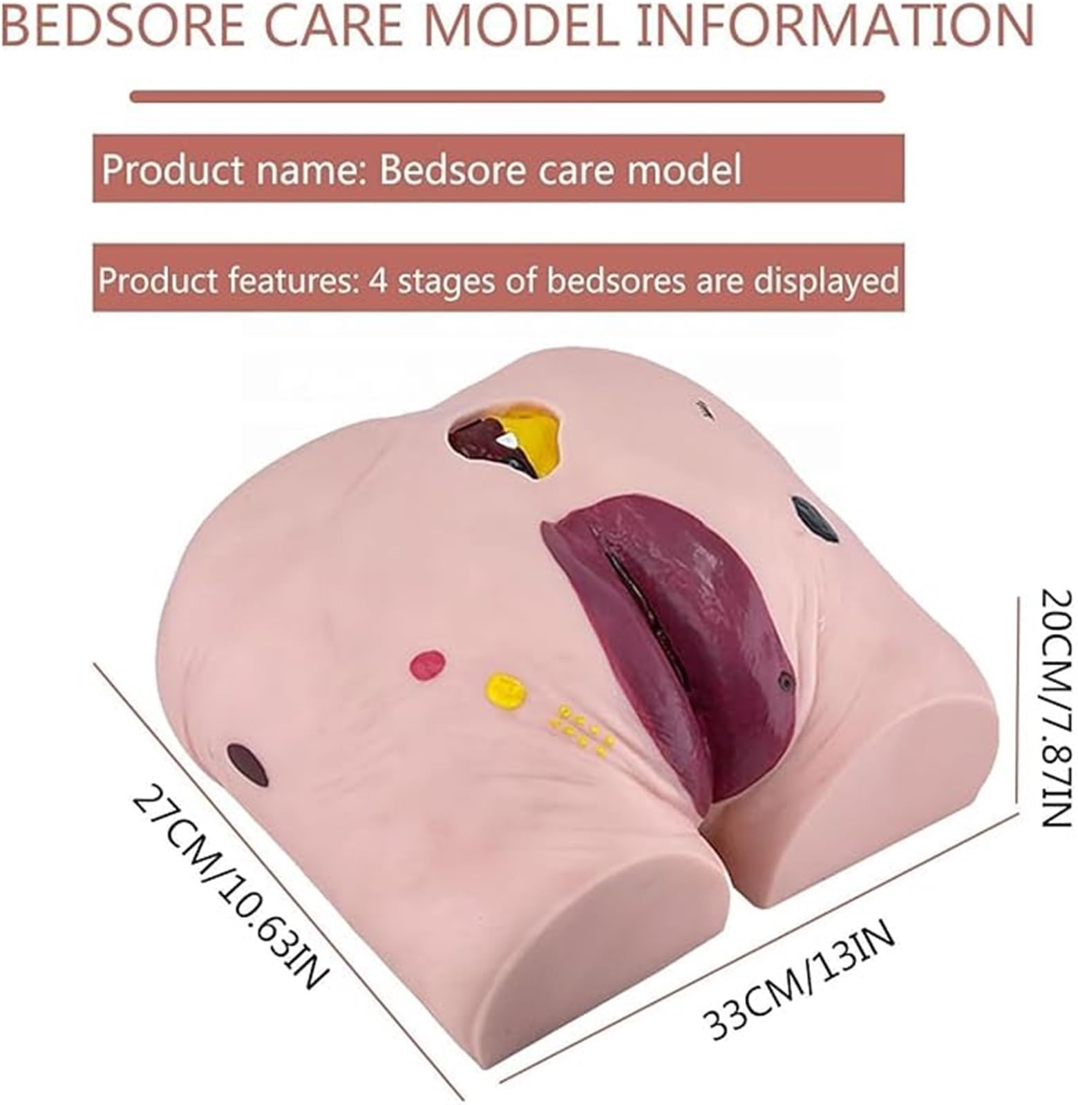 Modello umano per l'educazione infermieristica, simulatore di cura delle piaghe da decubito, ausilio didattico medico per professionisti infermieristici, strumento di formazione efficace per studenti