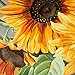 Luminous Flowers in Acrylic