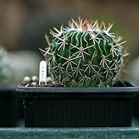 Vista 8 de BESTOYARD 20 indicadores de nivel de agua para maceta, recordatorios de escasez de agua, medidor para jardín, interior, plantación de invernadero