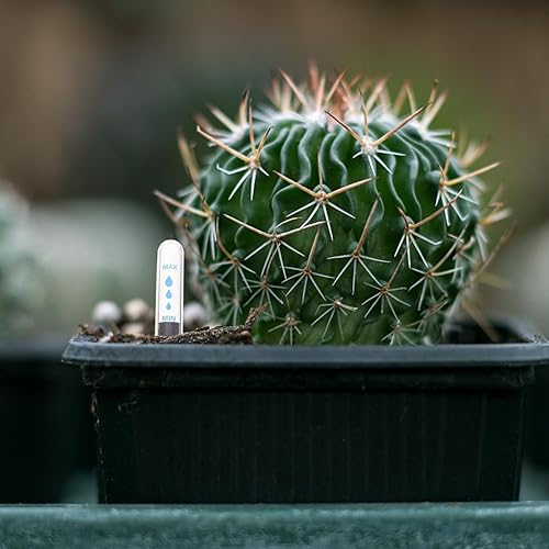 Miniatura 8 de BESTOYARD 20 indicadores de nivel de agua para maceta, recordatorios de escasez de agua, medidor para jardín, interior, plantación de invernadero