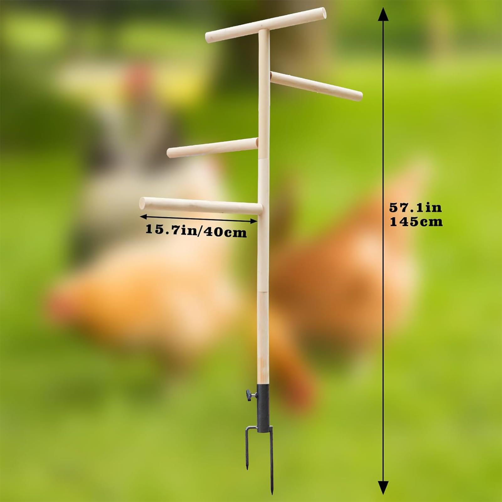 Percha De Pie para Pollos,Soporte De Perca para Pollitos Percha para Aves | Juguete de perca para patio de juegos enchufable en el suelo de metal para ca