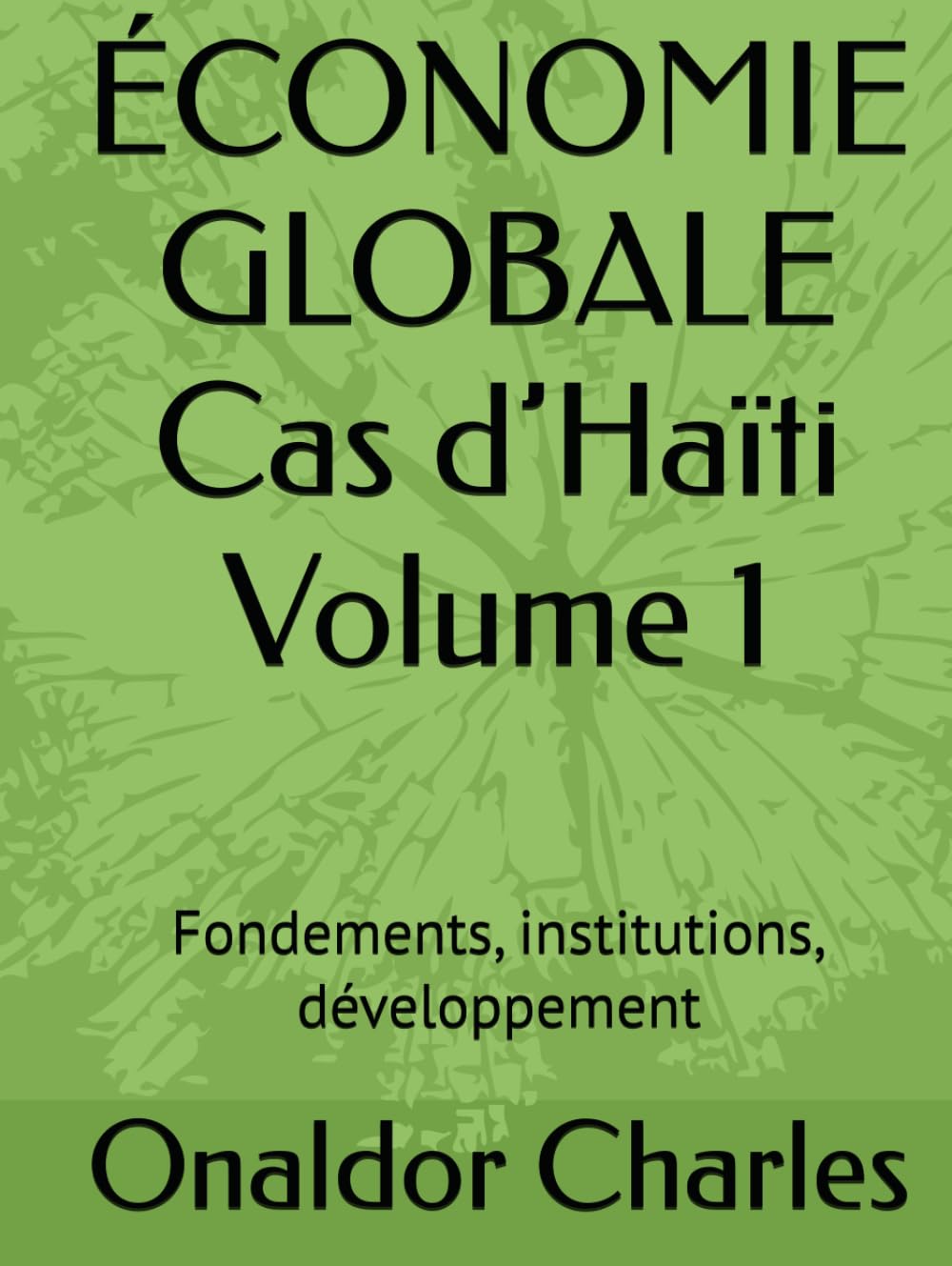 ÉCONOMIE GLOBALE Cas d’Haïti Volume 1: Fondements, institutions, développement
