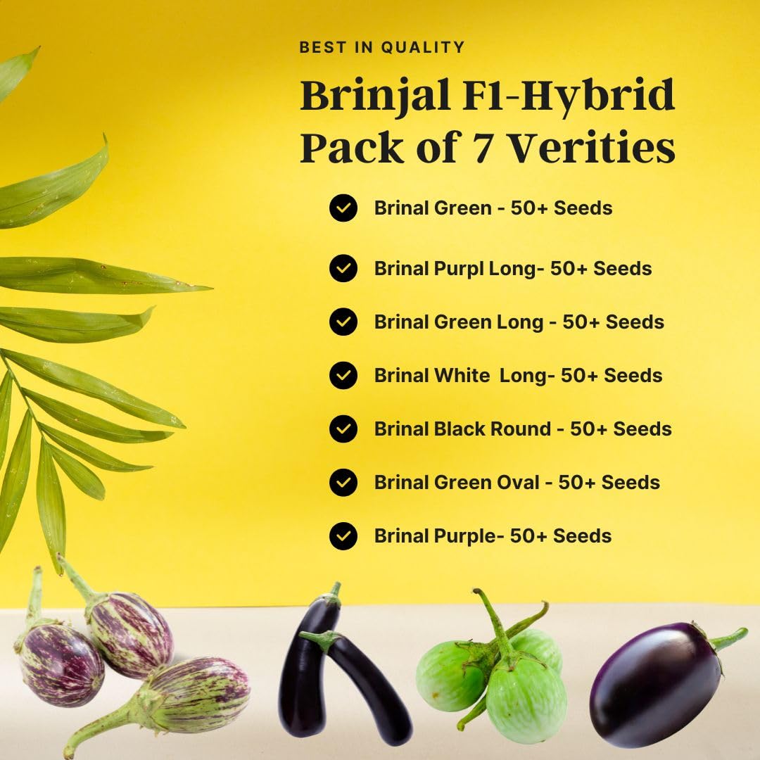 Seed Basket Brinjal Seeds Pack of 7 Varieties | 400+ Hybrid & Non-GMO Seeds | 90%+ Germination | Ideal for Home Gardening, Terrace Farming, and Vegetable Planting - Image 2 thumbnail