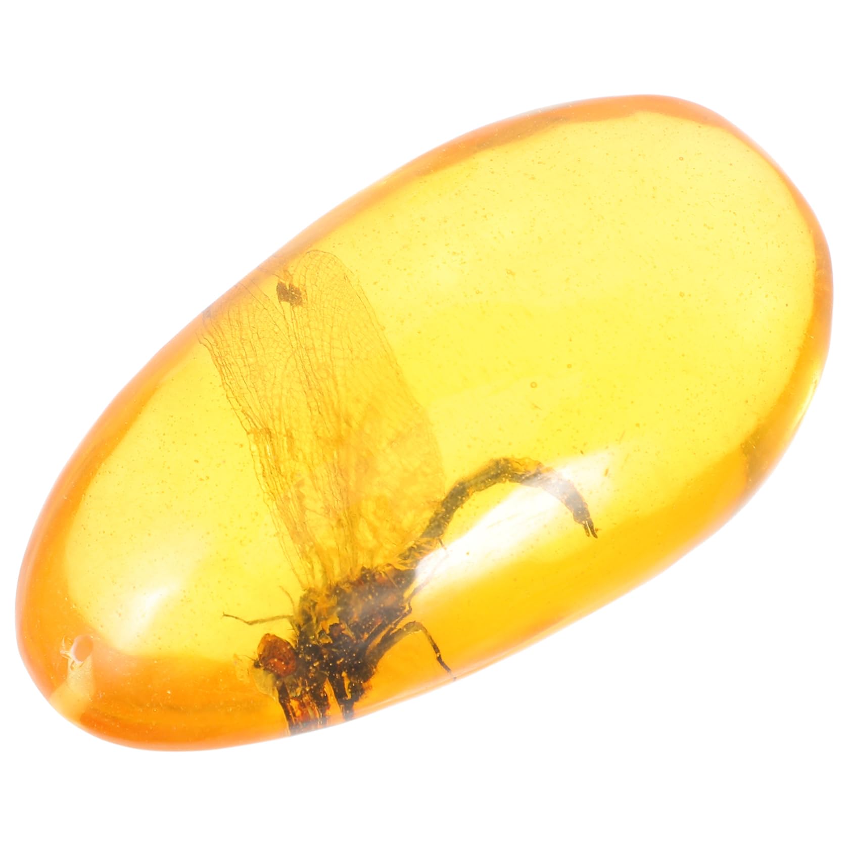 Hohopeti Amber Insect Sample Amber Stone Insect Collection Insect Adornment Amber Adornment Insect Stone Unique Stones Insect Amber Specimen Amber Insect Home Decor Resin