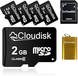 Cloudisk 5 Pack 2 GB Micro SD Card with MicroSD Adapter Card Reader Memory Card Bulk Sale (5Pack 2GB)