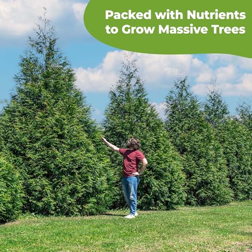 Perfect Plants Liquid Evergreen Food