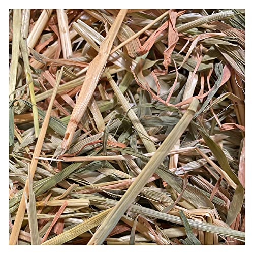 Cremas Y Lociones, Video On Demand Imagen adicional