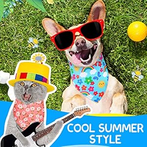 Eccliy-30-Pack-Summer-Flower-Dog-Bandanas-Bulk-for-Dogs-Soft-Triangle-Dog-Scarfs-Polyester-Bandana-Pet-Costume-Cute-Scarf-Bibs-with-Flowers-Patterns-for-Small-Medium-Large-DogsFlowerMedium - Cucciolini Doodles   Eccliy-30-Pack-Summer-Flower-Dog-Bandanas-Bulk-for-Dogs-Soft-Triangle-Dog-Scarfs-Polyester-Bandana-Pet-Costume-Cute-Scarf-Bibs-with-Flowers-Patterns-for-Small-Medium-Large-DogsFlowerMedium