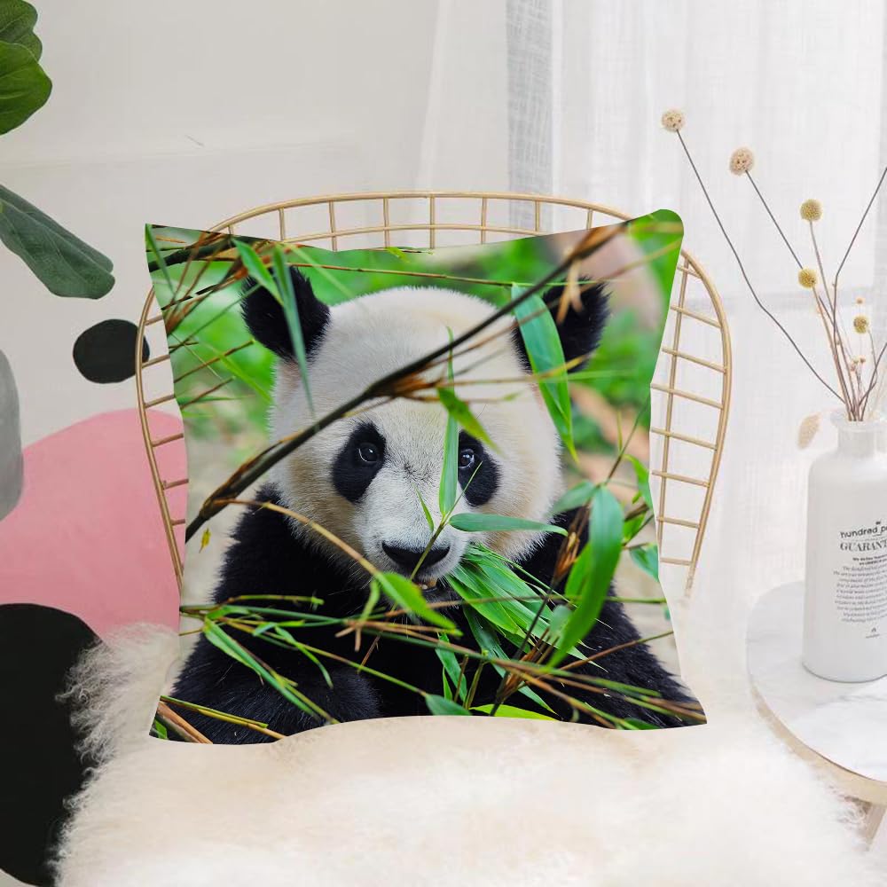 HYOSXW Cushion Cover,Throw Pillow Case Home Decorative for Living Room Bedroom Sofa Chair 16X16 Inch,Animal, a black and white panda enjoys bamboo, surrounded by green leaves,Pillowcase 40X40cm