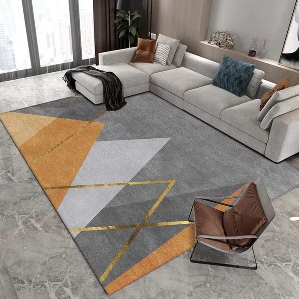 Tapis de salon moderne lavable idéal pour un canapé chaleureux