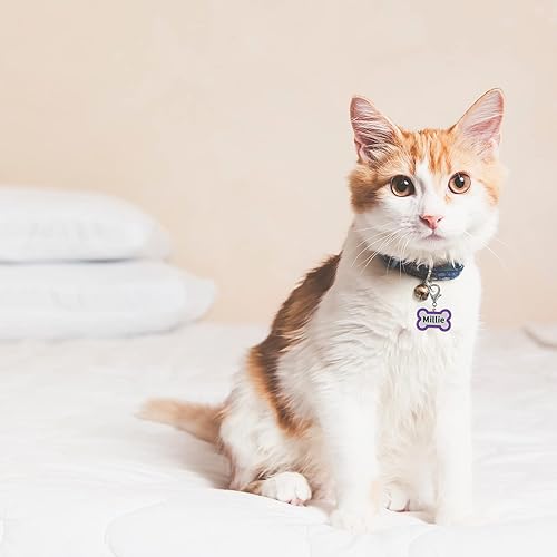 Miniatura 3 de Etiquetas de identificación personalizadas para mascotas, etiquetas de identificación para mascotas pequeñas o grandes, grabadas en ambos lados, con