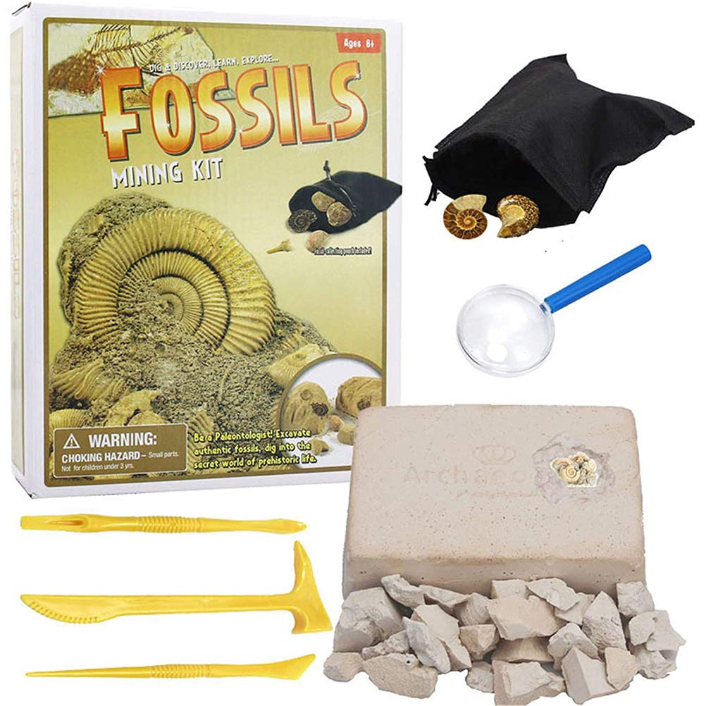 Buy Holmeey Excavation Set Mine For Fossils DIG Kit Kids Gem Dig Kit Gem Fossils Funeral and