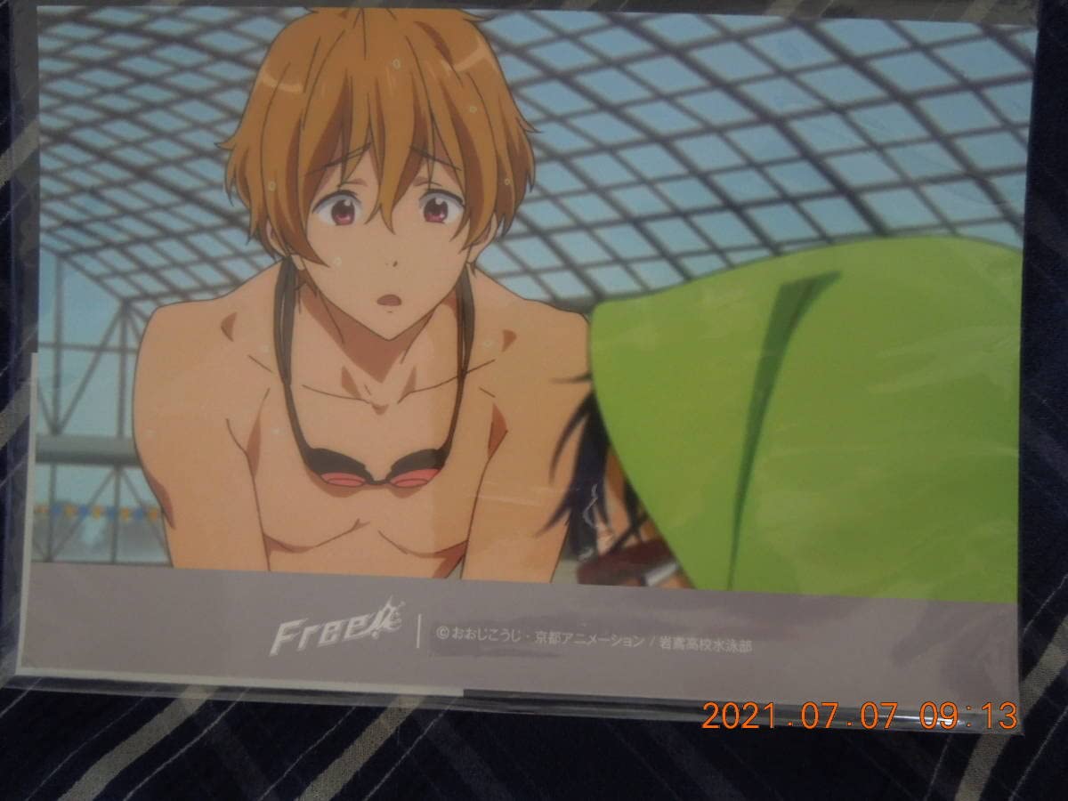 Amazon.co.jp: Dセット ブロマイド10枚セット / 葉月渚 / 「Free