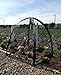 Nuvue PestGuard Mesh Framed Animal Pest Control Cover Size: 52