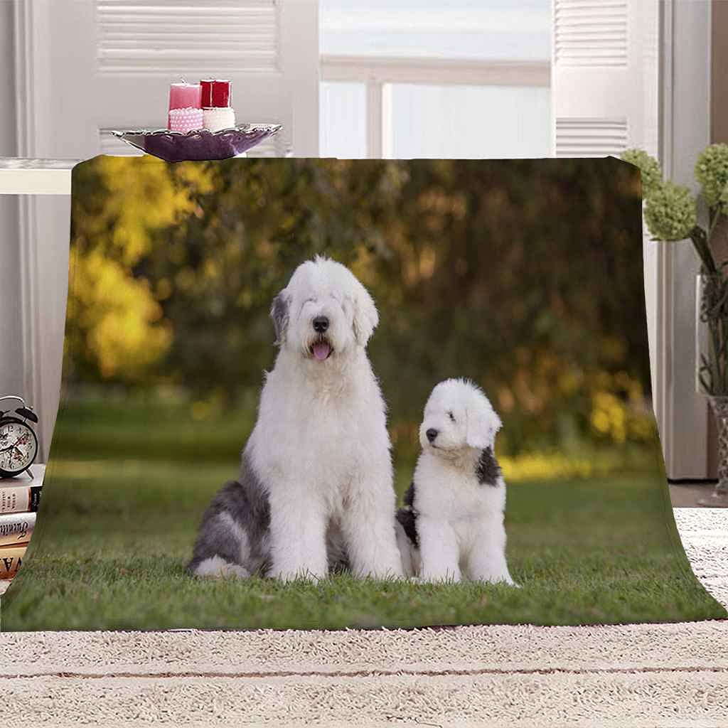 Couverture Polaire Chien Anti-Plis et Facile à Laver en Flanelle Douce pour Canapé Propre