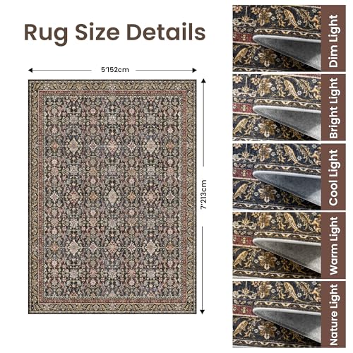 Rugland 5x7 Area Rugs - Stain Resistant Washable Rug, Anti Slip Rugs for Living Room, Vintage Tribal Area Rugs(Vintage01-Rust, 5'x7')