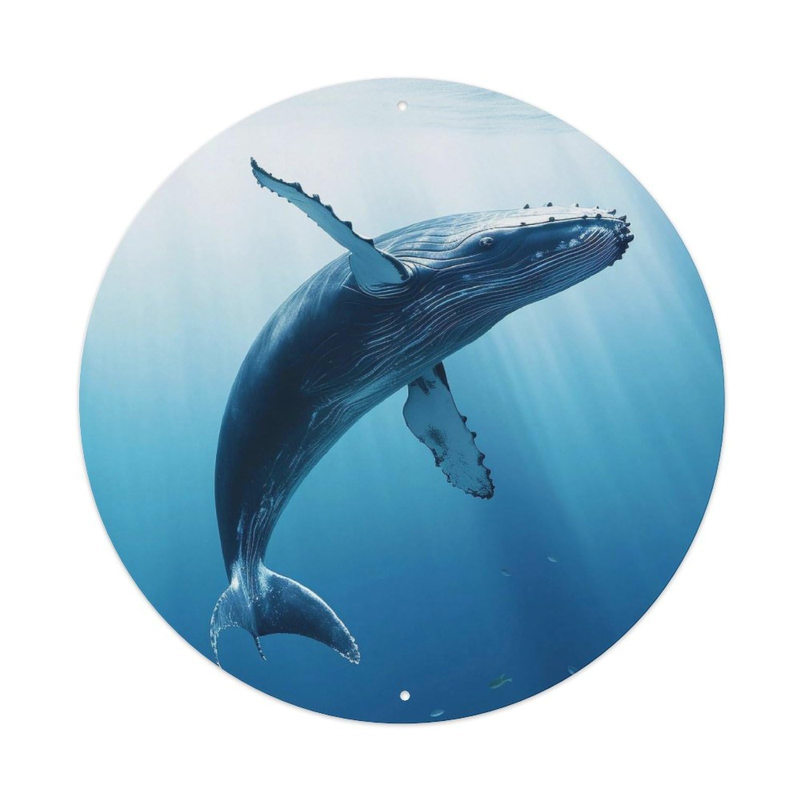 Marine Animal Poster Whale Metal Tin Sign