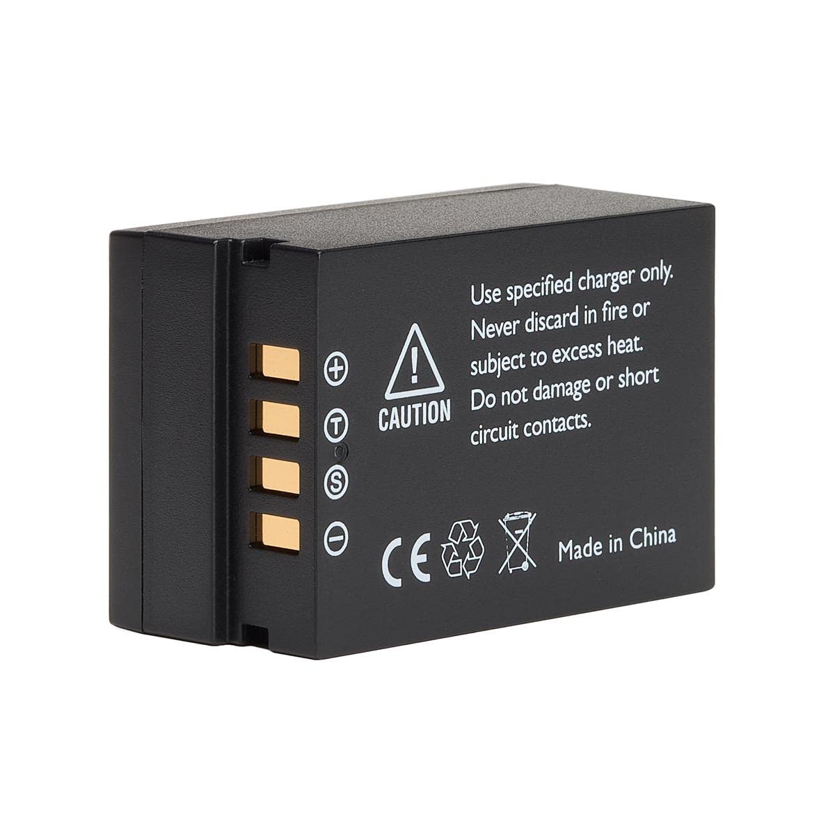 Amazon.com: Green Extreme NP-T125 10.8V 1300mAh 14Wh Lithium-Ion