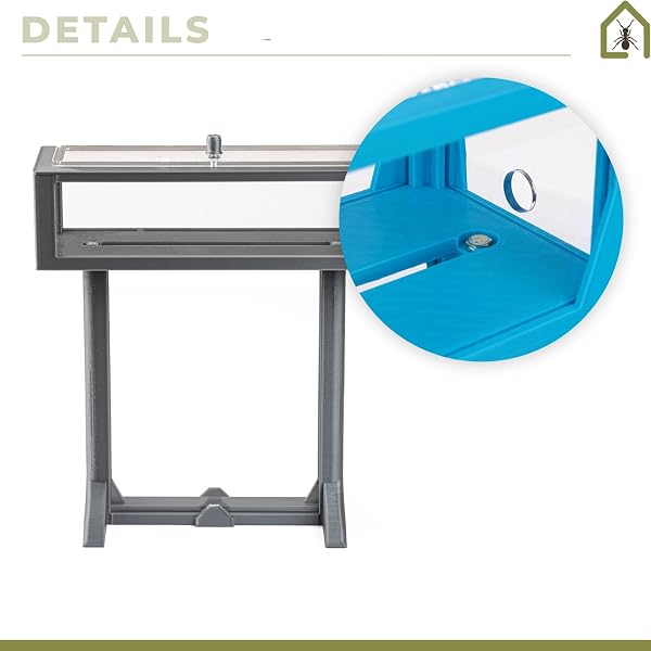 Anthouse.es - Kit Hormiguero Acrílico de Arena en Forma de T 3D - Sándwich y Caja de Forrajeo - Hormiguero con Hormigas Vivas Incluidas (Reina, Obreras, Huevos y Larvas) - Color Gris - 3