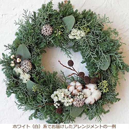 「リース@即購入⭕️緑背景は8/31まで」販売 新緑なローズリース ナチュラルリース オールシーズン 春夏秋冬 ギフト