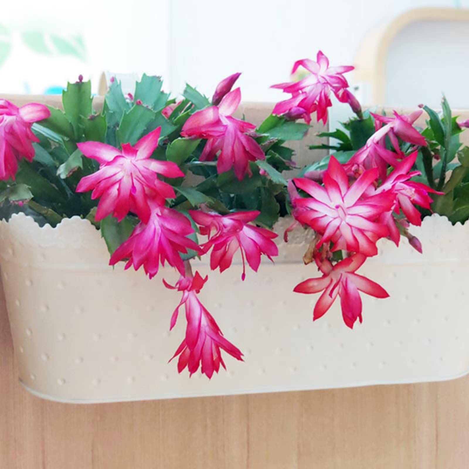 Panier de fleurs suspendu en fer – Support de pot de fleurs pour terrasse, balcon et porche – Support pour pot de fleurs pour plantes en pot – Décoration de jardin Slish