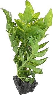 Planta De Aranha Plantas De Répteis Decoração De Répteis Planta De Tanque De Répteis Decoração De Tanque De Peixes Acessórios De Tanque De Répteis Decorar Caixa De Tartaruga