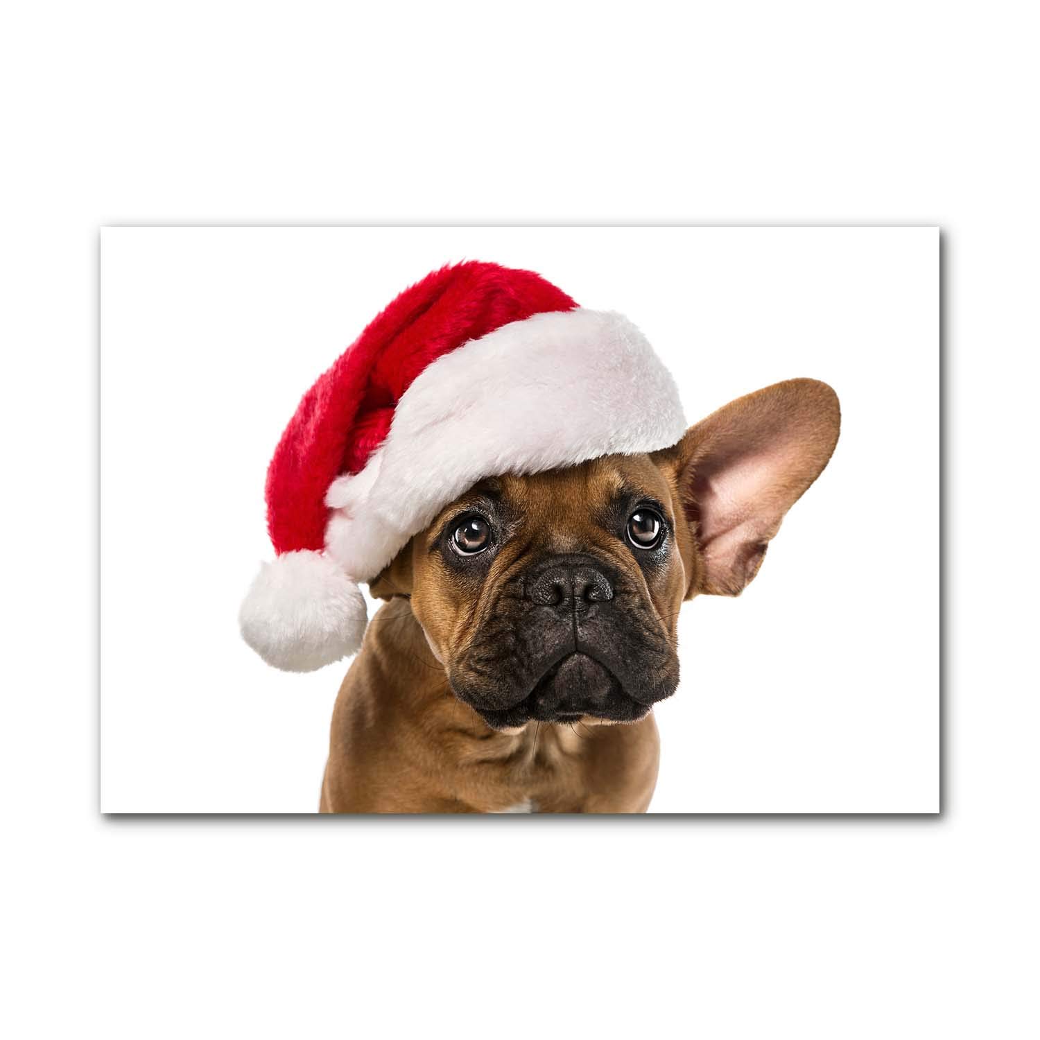 Photo décorative panoramique bouledogue de Noël, cadeau idéal en verre trempé de 100x70 cm