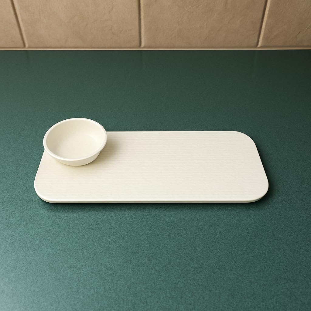 Alabaster Textured Ceramic Serving Set - 12 Inch Rectangular Platter with Matching 4.5 Inch Dip Bowl - 2-Piece Matte White Appetizer Set