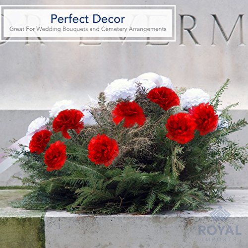 Royal Imports Artificial Carnations, Memorial Day, For Funeral Arrangements, Wedding Bouquets, Cemetery Wreaths, Diy Crafts - 100 Single 5" Stems - Red-Blue-White #TOP4