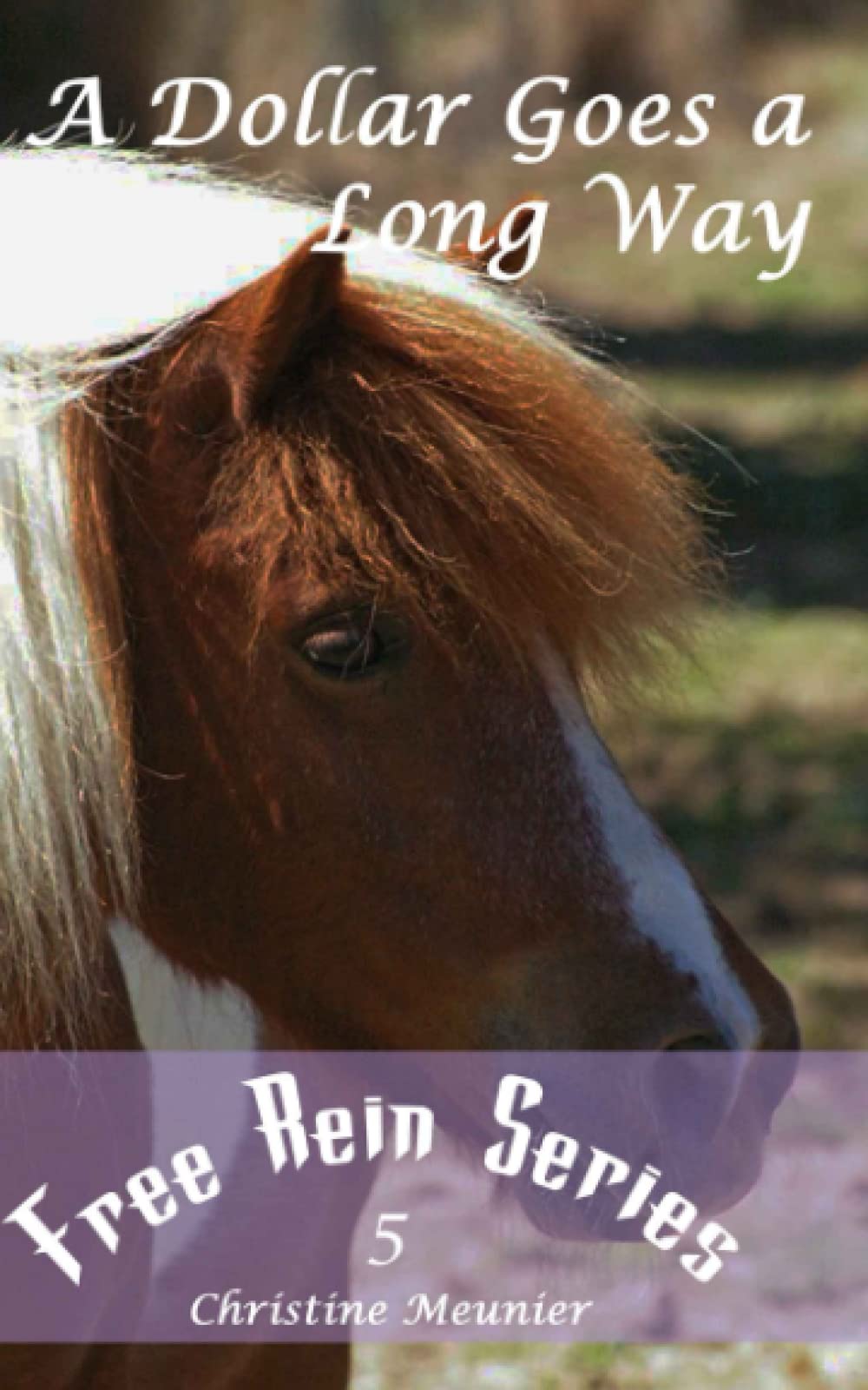 A Dollar Goes a Long Way (Free Rein Series)