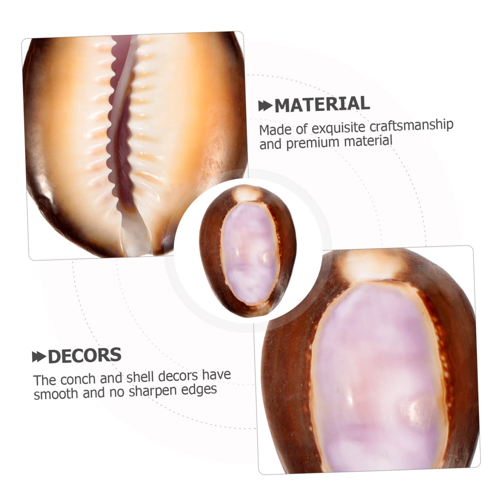 Didiseaon 2pcs Shell Small Conch Coastal Seashell Conch Shell Figure Conch Seashells for Crafting Decor Shell and Conch Landscaping The Mediterranean Handmade Materials