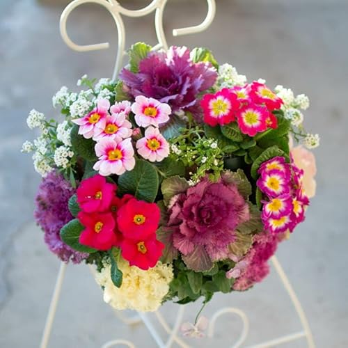  t{^̃nMOoXPbg񂹐A[g(ׂ]MTCYtO rI  ߓ ߏ ߓ O   m  n{^ ɐ ԃAWg [X _  ~ oXPbg  t[Mtg