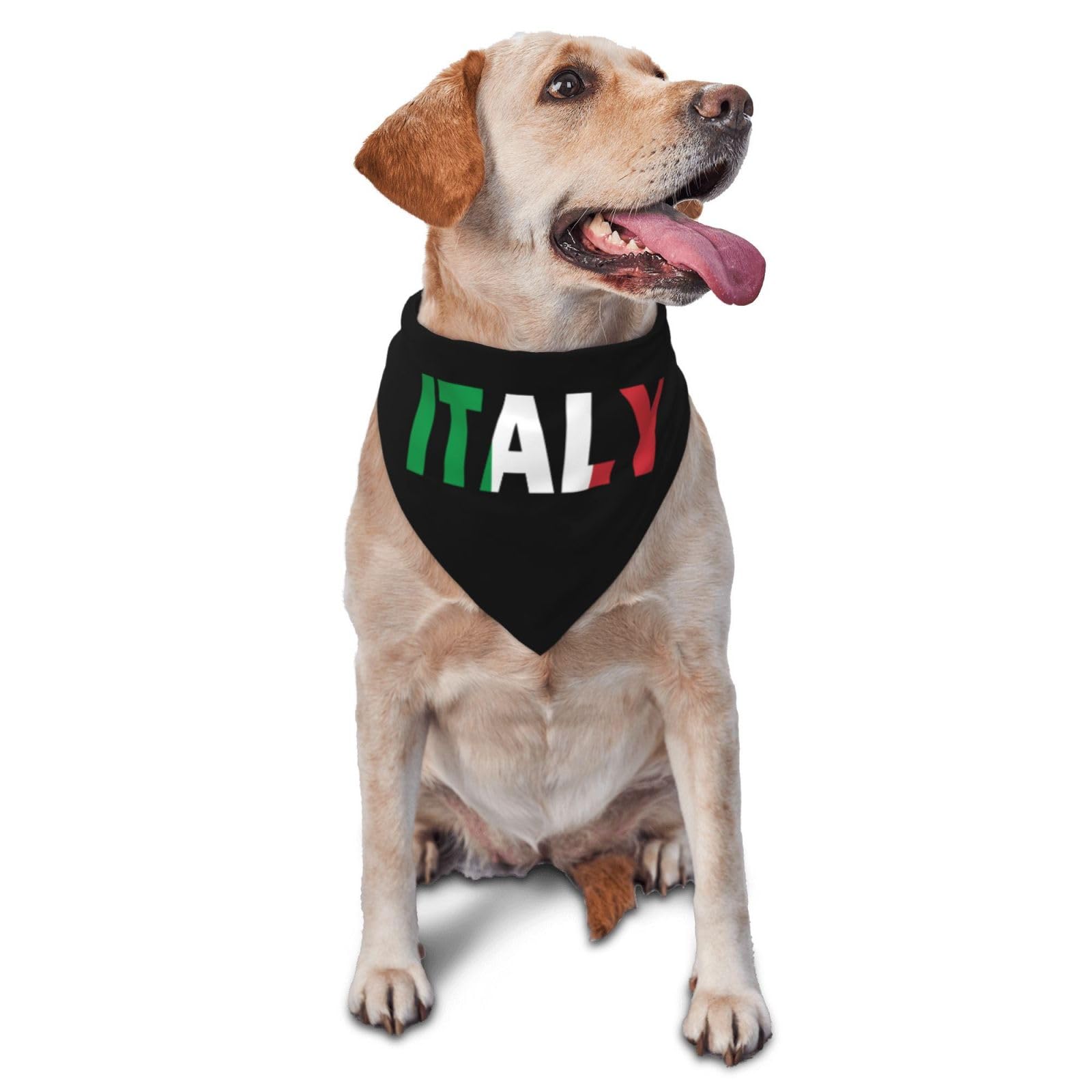 Italy Flag Italian Text Word Art Triangle Dog Bandana Scarf Accessories for Pet Bibs