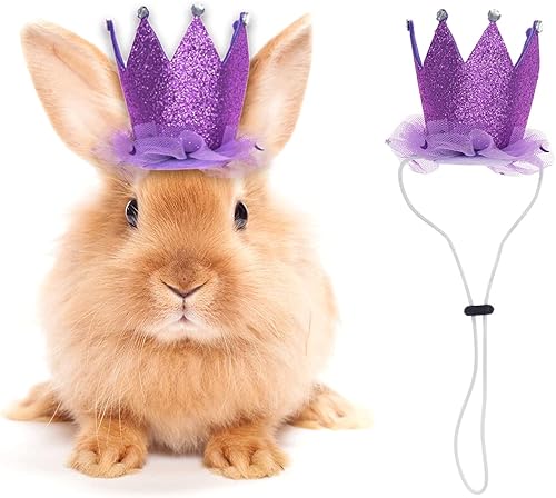 2 gorras de conejito de conejo hámster cobaya cerdito de conejo mini gorras fiesta de festivales animales pequeños accesorios para la cabeza para