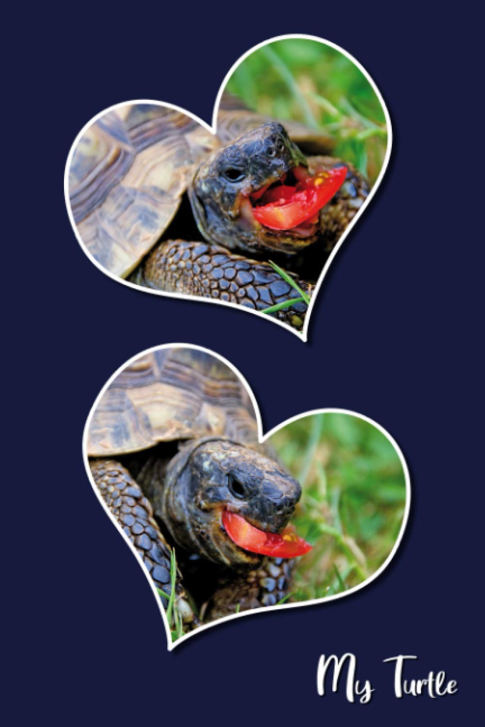 My turtle: Lovable turtles. Care for turtles. Turtle notebook, gift for turtle breeders, terrarium friends. Gift for turtle friends. Format 15.24 x ... 120 pages. Notebook, Journal, glossy cover