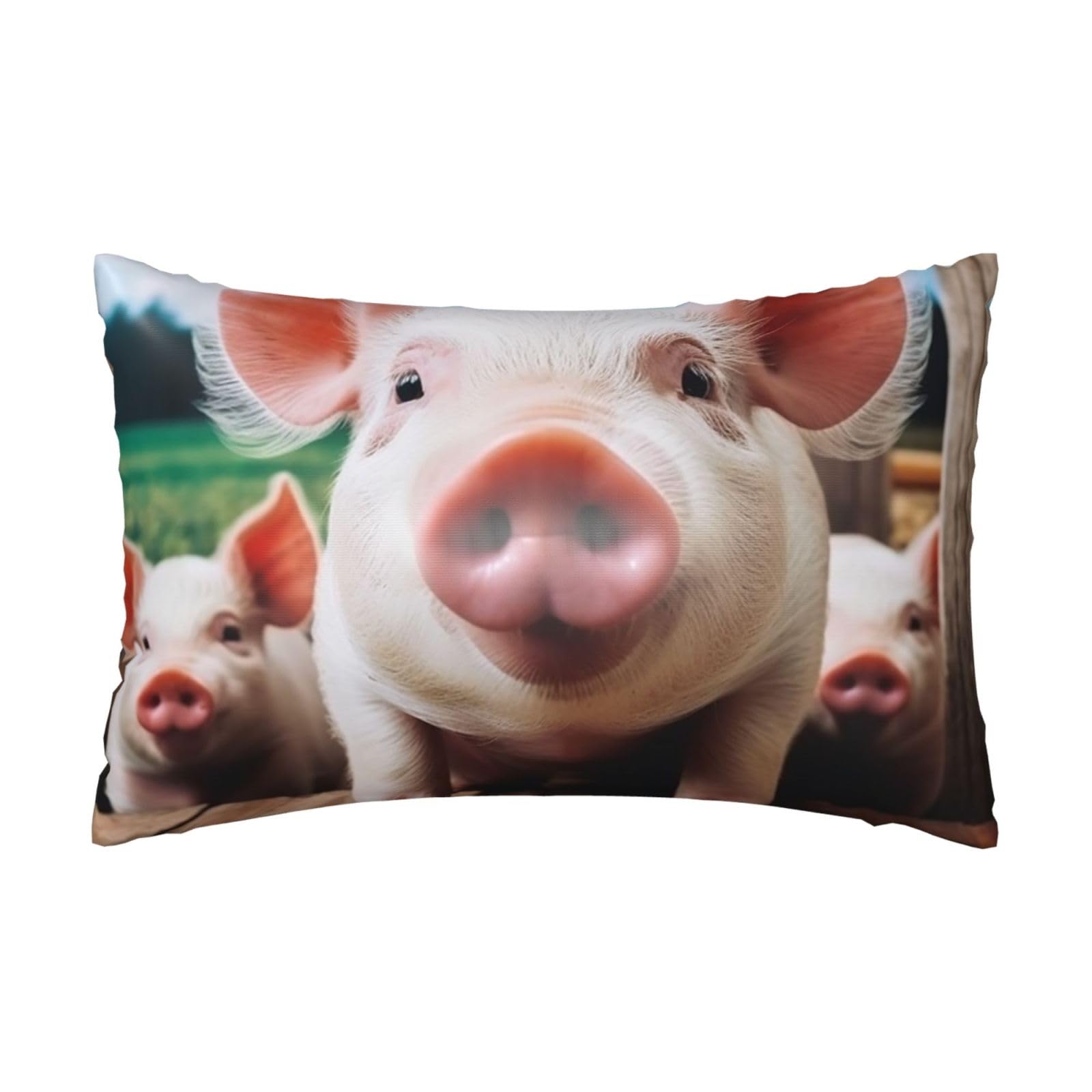 Satin Pillowcase for Hair and Skin, Smiling Pillow Case Queen Size 20x30 Inches, Cooling Silky Pillowcases with Zipper Ultra Smooth and Soft Pillow Cover for Sleeping