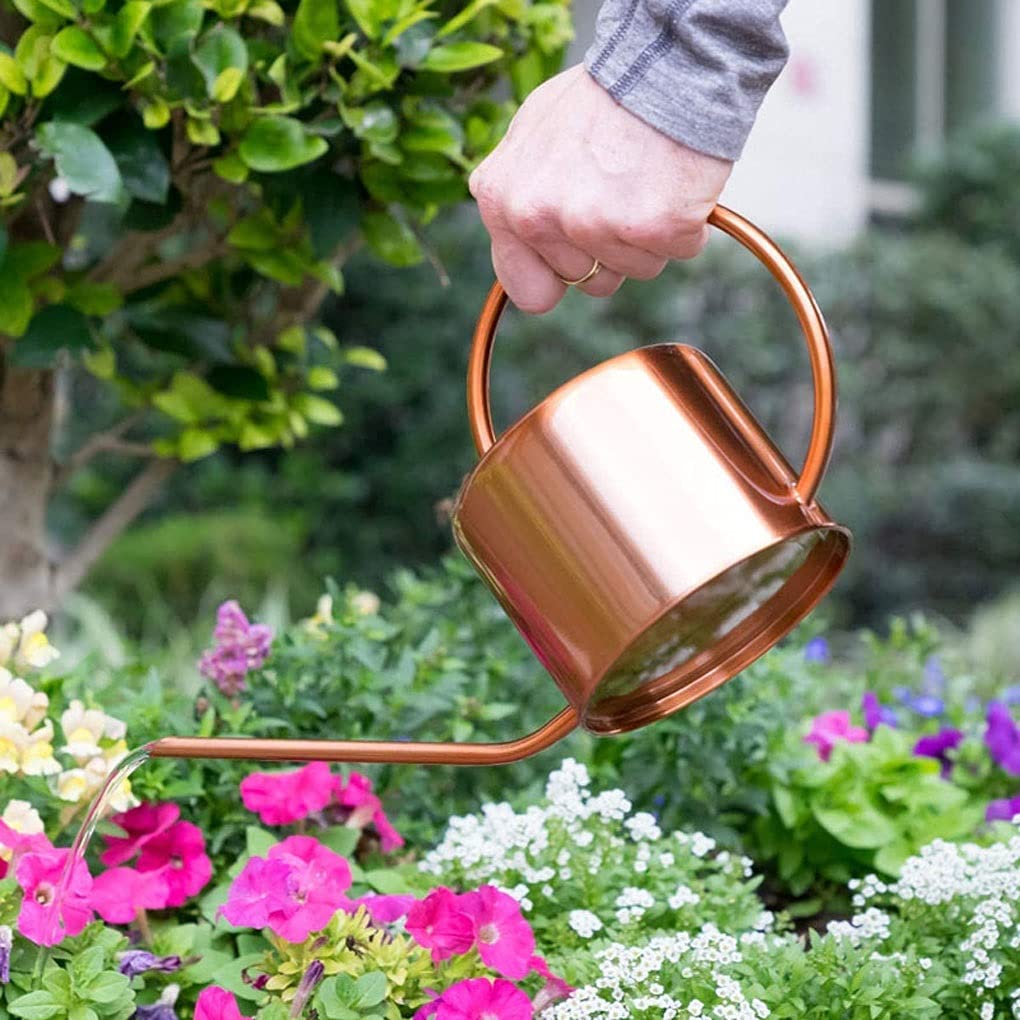 Długa Wylewka Podlewanie Puszka 1000ml Ze Stali Nierdzewnej Podlewanie Garnek Retro Ogrodnictwo Narzędzia do Home Office, Kryty Outdoor House Plant Podlewanie (Color : Gold)
