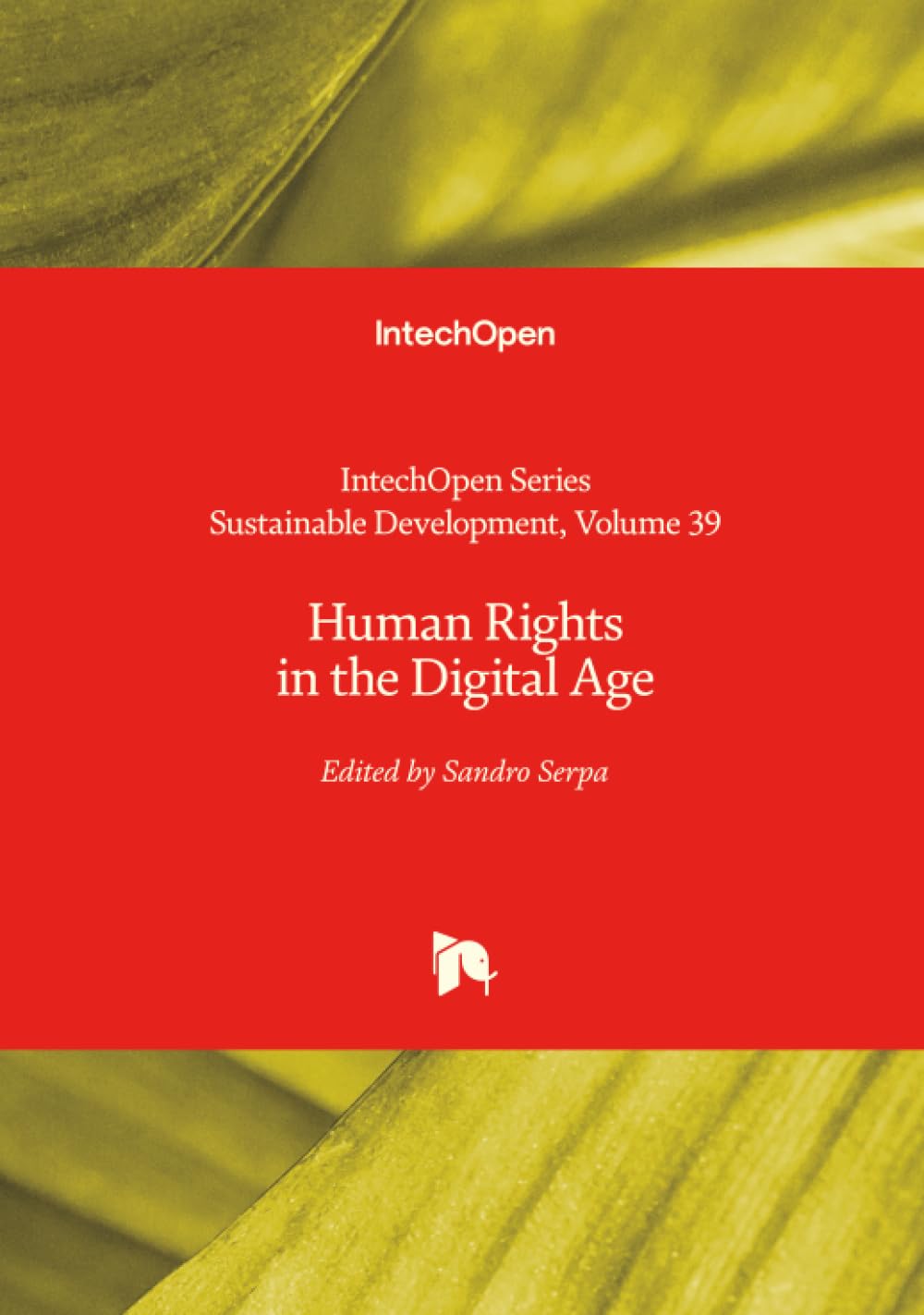 Human Rights in the Digital Age (Sustainable Development)