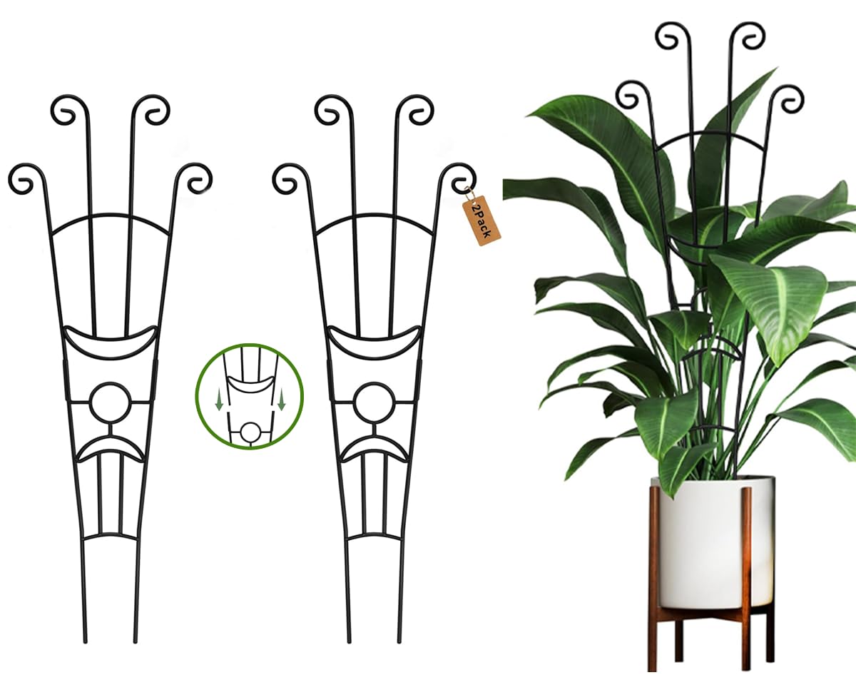 Treillis pour plantes en pot robuste avec piquets de support en métal anticorrosion