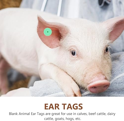 Miniatura 7 de 100 juegos de etiquetas de oído de ganado en blanco, etiquetas de identificación de animales de TPU verdes para ganado, ovejas, cabras, cerdos y