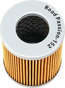 Amazon.com: Road passion 420956123 Oil Filter Replacement for Can