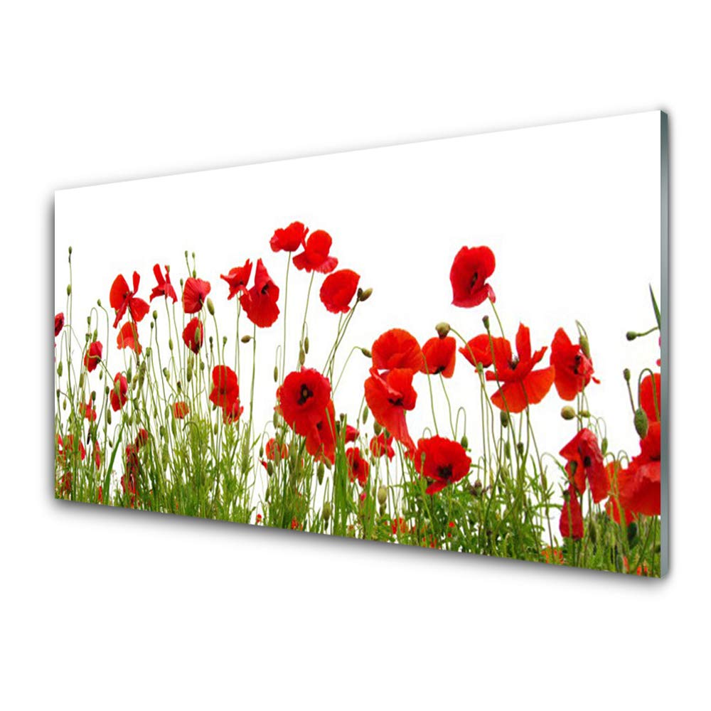 Tableau plexiglas coquelicots Tulup 100x50cm pour sublimer un mur blanc vide