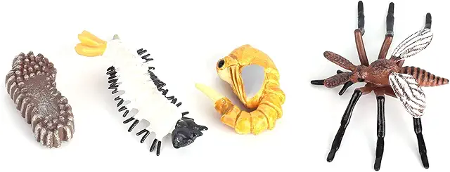 Imagen relacionada con Modelo De Ciclo De Crecimiento De Insectos Modelo Educativo De Ciclo De Vida De Insectos Para Niños(Mosquito M4184 (31,6 g))