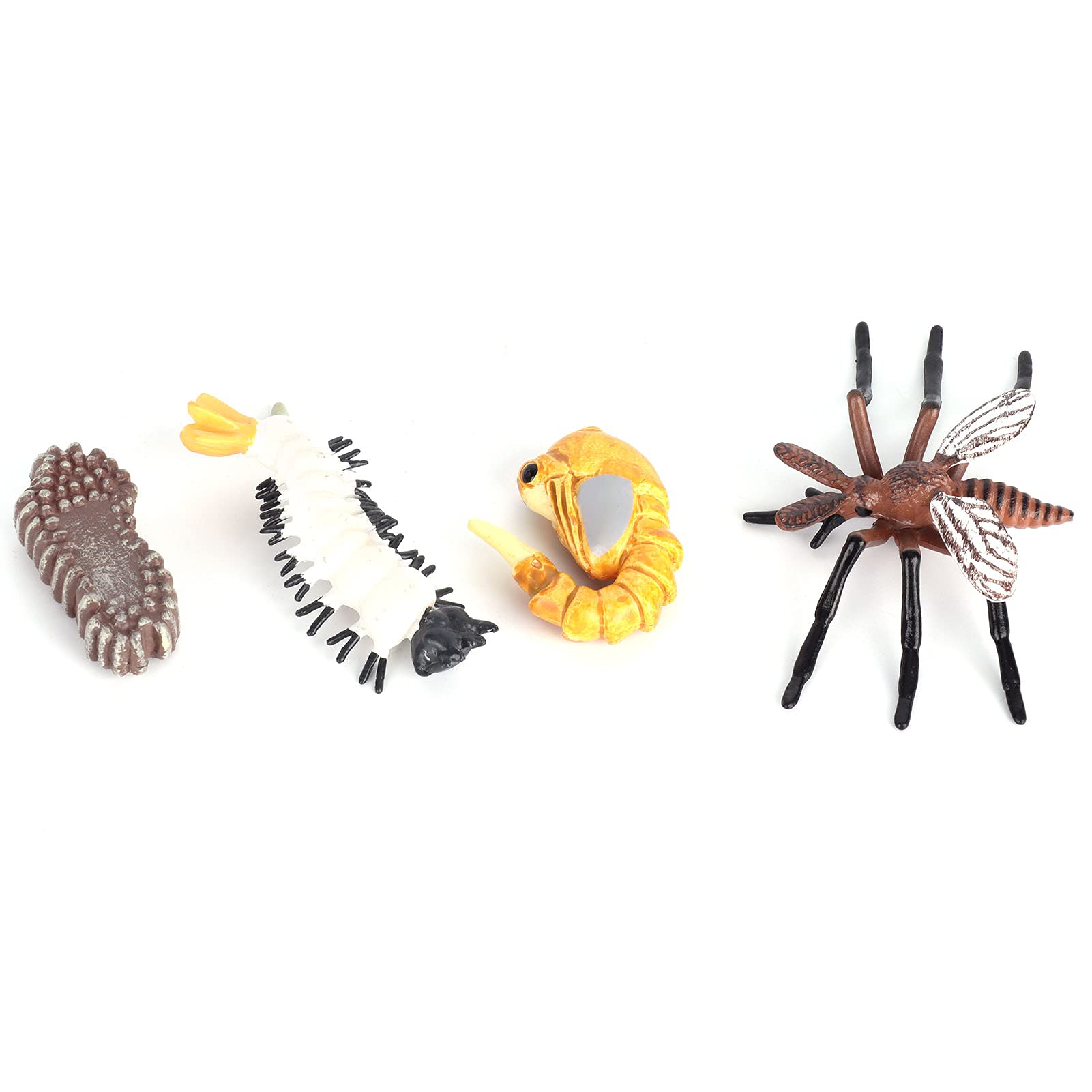 Insekten-Lebenszyklus-Figuren, Pädagogisches -Moskito-Ameisen-Wachstumsmodell, Spielzeug für, Schulprojekte, 4 Stück (M4184 Mücke (31,6 g))