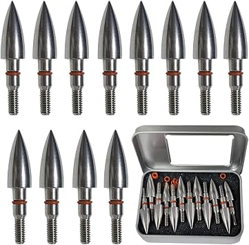 100/125/200/250/300 Grains Premium Stainless Steel Archery Target Field Points arrowheads, Archery Arrow Field Points Bullet PointsScrew in Archery Field Tips and Broadheads 1 Dozen 12 PCS