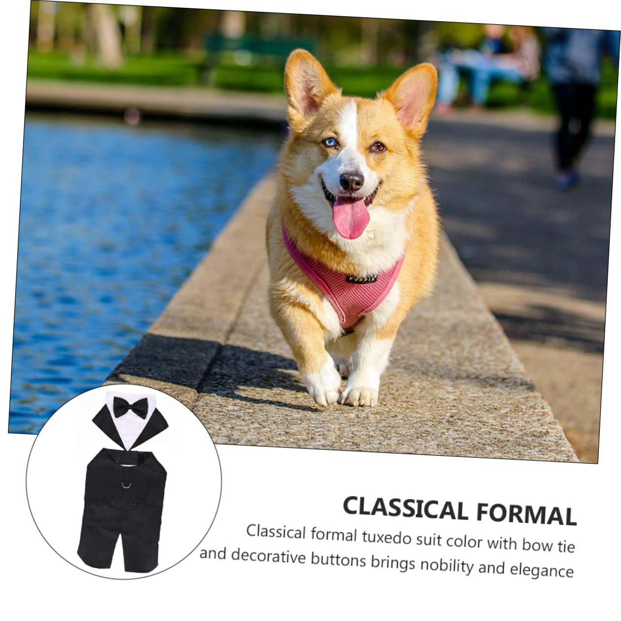 BESPORTBLE 3 Pz smoking per animali domestici costume animale abito da sposa per animali domestici giubbotto cane giacca cane smoking per cani abbigliamento per animali domestici cotone