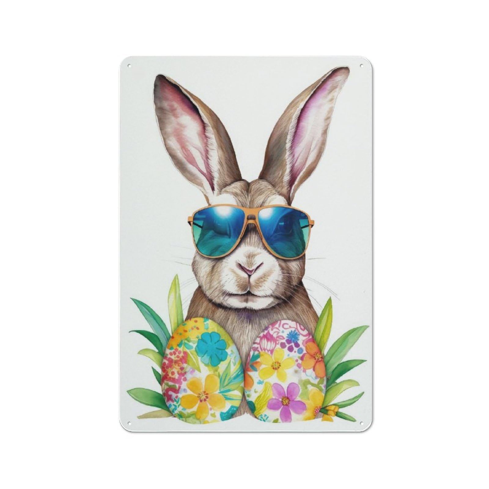 Junmoney Easter Bunny 10 Mr Cool 30X20cm Rustic Metal Sign With For Guest Room Or Hallway, For Vintage Wall Decor Fans, For Metal Sign Collectors