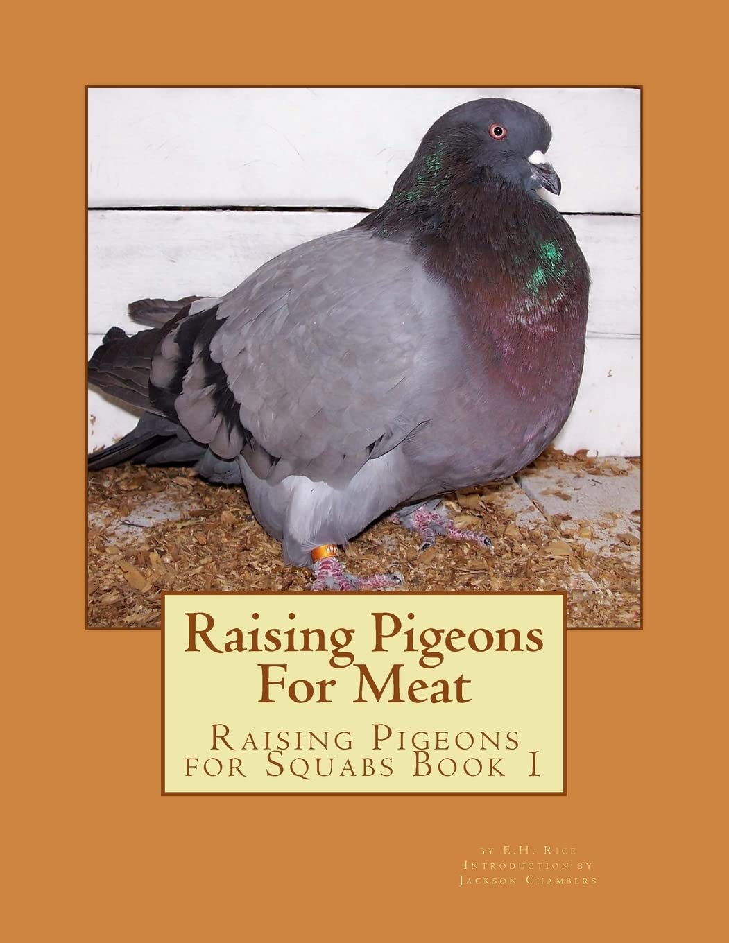 Raising Pigeons For Meat: Raising Pigeons for Squabs Book 1: Volume 1