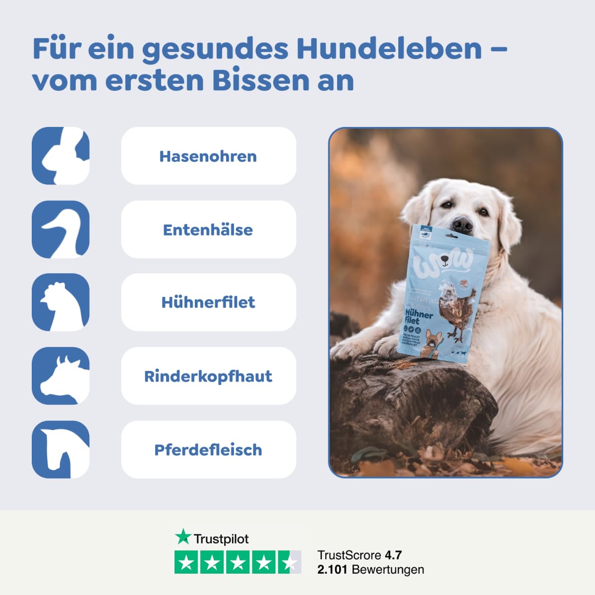 WOW Dog Entenhälse 3 x 250g | für natürliche Zahnpflege & Beschäftigung