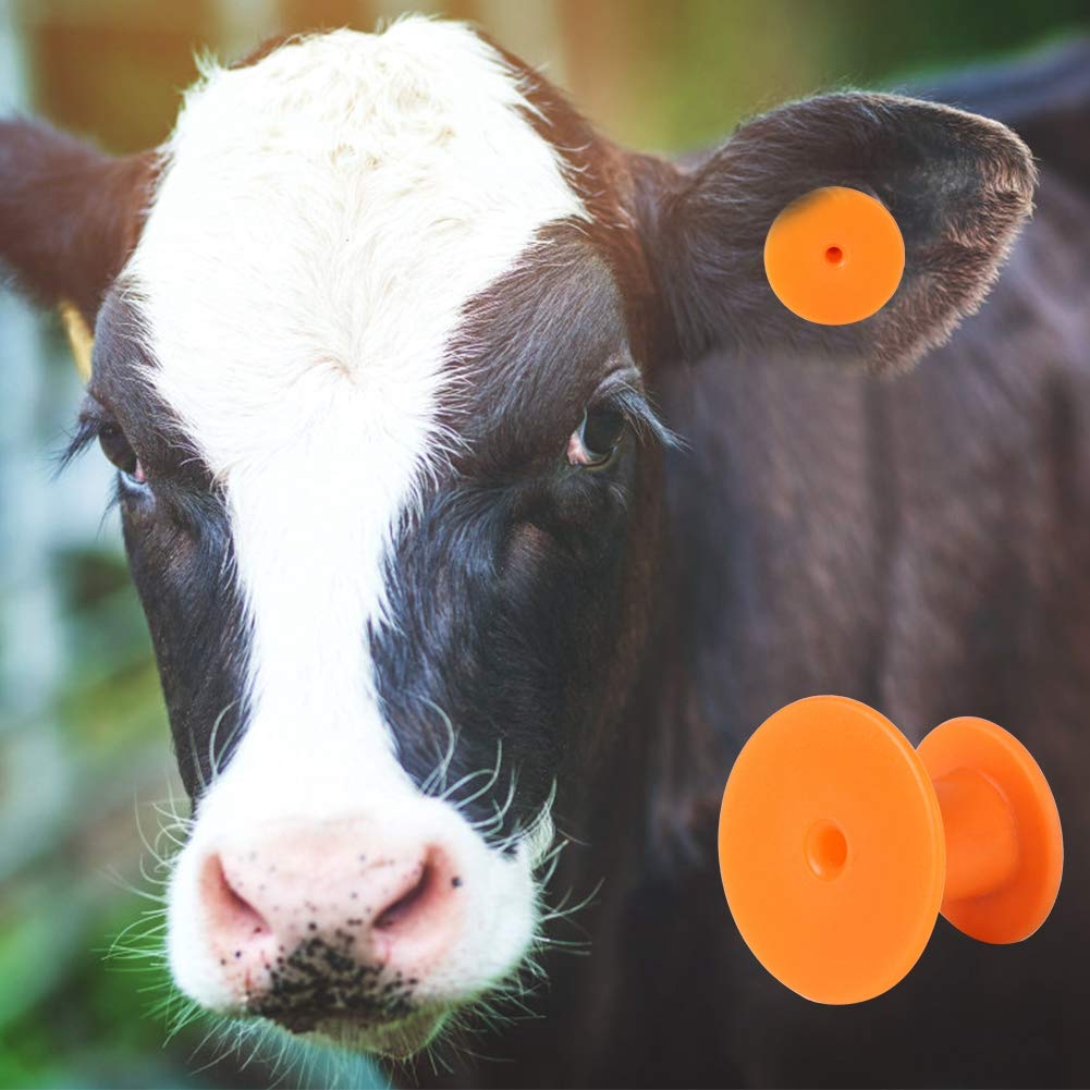 Numero di Bestiame Marchio Auricolare Etichetta per Suini Mucche Ovini Identificazione degli Animali Allevamento Vaccinazione Agricoltura (Marchio auricolare rotondo arancione
